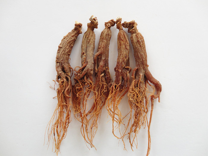 Red Ginseng Whole Root