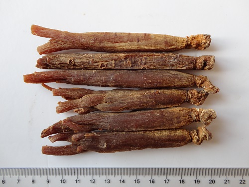 Red Ginseng Pressed